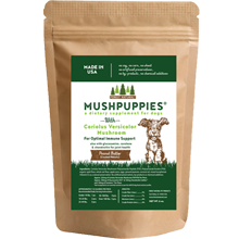 MushPuppies Dog Biscuits With Coriolus Versicolor Mushroom
